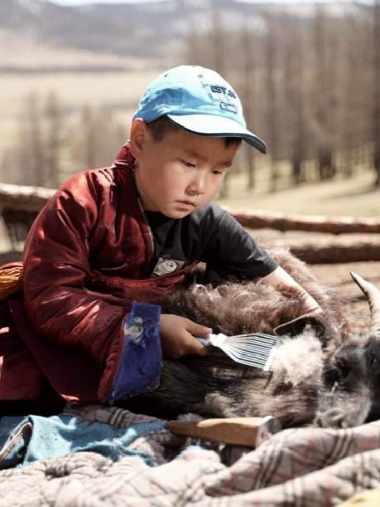 Цуглуулалт